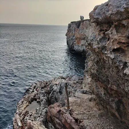 Grupoandria Julia * Cala en Forcat