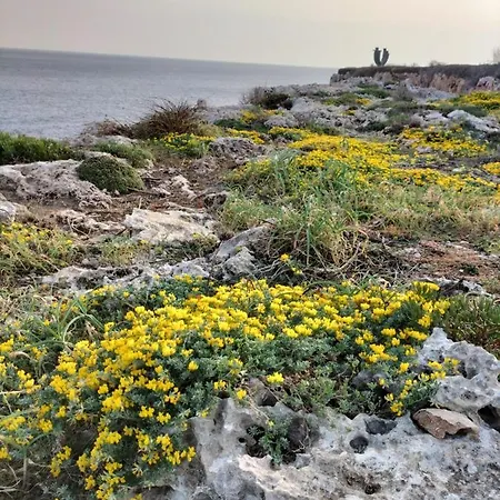 Grupoandria Julia Apartman *