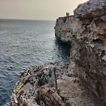 Grupoandria Julia * Cala en Forcat